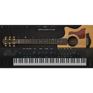 Ample Sound - Ample Guitar T III Taylor [VST, AAX] (WINDOWS)
