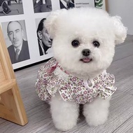 猫狗春夏新款服装泰迪比熊萨摩耶薄款蝴蝶结碎花清新可爱南瓜裙Cats and Dogs Spring and Summer New Clothing Teddy Bixie Samoyed