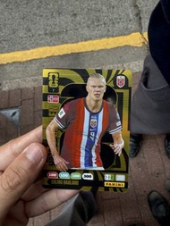 Panini FIFA World Cup 2022 Erling Haaland Card