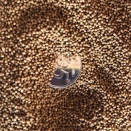 (PELLET Seamaster) Best Fish Food For betta@guppy.