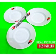 Chicken plastic plate, chicken motif plate, dimensions 22.7 cm