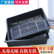 bunga telur bunga hiasan dalam rumah Thickened Sprout Wheat Seedling Tray Acupoint Tray Sprout Seedl