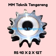 Sprocket RS 40 x 2 x 12 T Gear RS 40-2x12T Double Chain Gear Z 12T 12 T RS40 -2 40Z12 40x2x12T 40-2 
