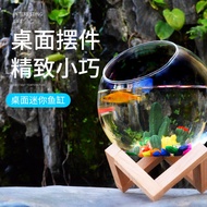 Akuarium kaca mini, akuarium ikan betta kecil, akuarium ikan emas ekologi, akuarium kaca premium, ak