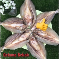 IKAN BEKOK ORI KELANTAN (500G)