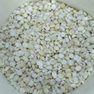 BARLEY SEEDS | JALI JALI SEEDS 100gr
