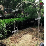 H-Y/ Arch Flower Stand Simple Wrought Iron Lattice Climbing Frame Grape Arch Rose Chinese Rose Garden Gardening Wholesal