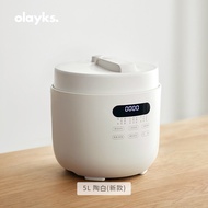 Olayks Electric Smart Pressure Cooker Multifunction Rice Cooker (5L) 智能电压力锅电饭锅电饭煲