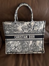 Christian Dior Book Tote Bag