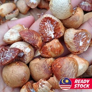 BUAH PINANG KERING DIBELAH DUA / ARECA NUT CUT IN HALF