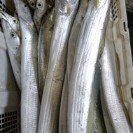 cod ikan asin layur besar/ikan layur/ikan asin/500gram