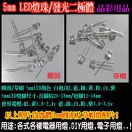 (台灣現貨)LED燈泡 5mm LED燈珠 LED LAMP 發光二極體 F5草帽/圓頭 高亮LED燈珠 DIY燈板零件