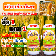 เซียนข้าวโพด ปุ๋ยฉีดข้าวโพด ฮอร์โมนข้าวโพด 1แถม1 ปุ๋ยทางใบ ฮอร์โมนพืช อะมิโน ปุ๋ยสูตร ยาฉีดข้าวโพด ส