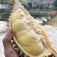 Durian Montong Palu Parigi Fresh Utuh