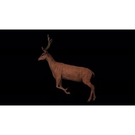 4K Deer Run – Videohive 23719478 [download]