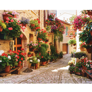 Paint By Numbers For Adults Beginners Flowers Diy Gift Canvas Painting Acrylic Paints Kits Drawing H