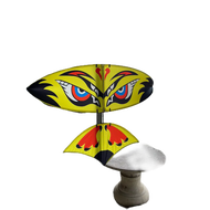 Fun carbon assembled 1m7 kite