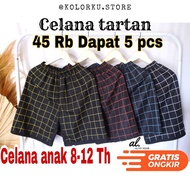 Children's Shorts 10-17 Years T-Shirt Shorts Children's Shorts/ Casual Children's Shorts/