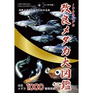 100 years of Medaka varieties Medaka Collection 2024 Rice Fish Magazine Book