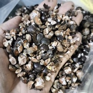 Trái đủng đỉnh khô dã hạt sao vàng 1kg