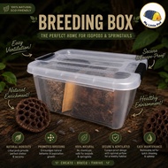 Isopod / Springtail Starter Kit Breeding Box Beginner Friendly Exotic Pets