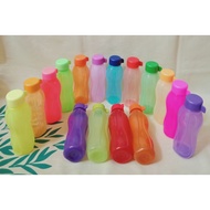 ECO BOTTLE 310 ML (1)