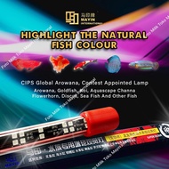 LED VIEW LIGHTS MAYIN AQUARIUM FISH AROWANA / ARWANA / KOI POND