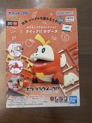 Bandai 寵物小精靈 噴火龍 砌模型