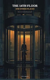 The 14th Floor and Other Places: Stories from the City Between 8 and 6