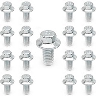 Hoypeyfiy 17Pcs 5/16-18 Automatic Trans Hex Flange Bolts Replacement for Chevrolet TH350 TH400 Power