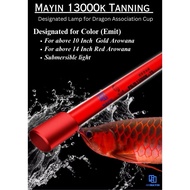 MAYIN 13000K Tanning Light Special For Arowana ‼️🔥