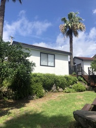 Seogwipo Palm Tree Village