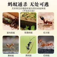 Ant Medicine Powder Household Indoor Whole Nest Non-Toxic Handy Tool Ant Killing Bait Outdoor Remova