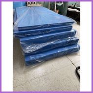 ▩ ☜ ∆ Original Uratex Foam with FREE Zipped Cover 4 / 5/ 6 Inches Thickness Blue Foam