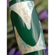 💥Ready Stock💥 37.3mm X 12.8mm 绿玉 虎牙天珠 消除波折 勇往直前 移灾去邪 保佑平安之意 Green Chalcedony Tiger Tooth Dzi Manik D