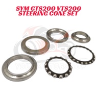SYM GTS200 GTS 200 VTS200 VTS200 GTS VTS Steering Cone Bearing Set Bearing Tengkuk Set GTS200 VTS200