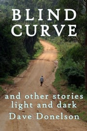 Blind Curve And Other Stories Light And Dark Dave Donelson