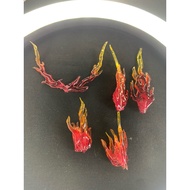 Effect for charizard Blokees (only effect, not figure)