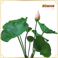 ROWANSG Artificial Flower, Landscape Artificial Flower Pole Artificial Lotus, DIY Decoration Lotus P