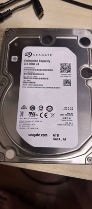 Seagate Enterprise Capacity 3.5 HDD 6TB