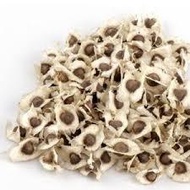 Moringa Seeds,50g, Murungai Vidhai Seeds, Drumstick Seed, Muringai, Murungai Vithai seeds