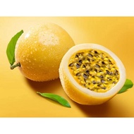 巴拿马🇵🇦玫瑰百香果🌹PANAMA GOLD PASSION FRUIT🌹
