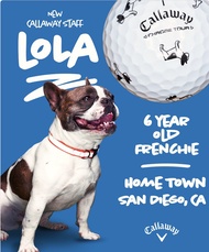 ลูกกอล์ฟ Callaway Chrome Tour Small Dogs: French Bulldog Golf Balls