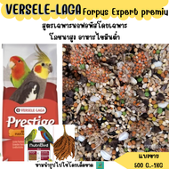 VERSELE-LAGA Forpus Expert premiu ( แบ่งขาย 500 G.-1 KG.) อาหารนกไขมันต่ำ สูตรเฉพาะนกฟอพัสโดยเฉพาะ