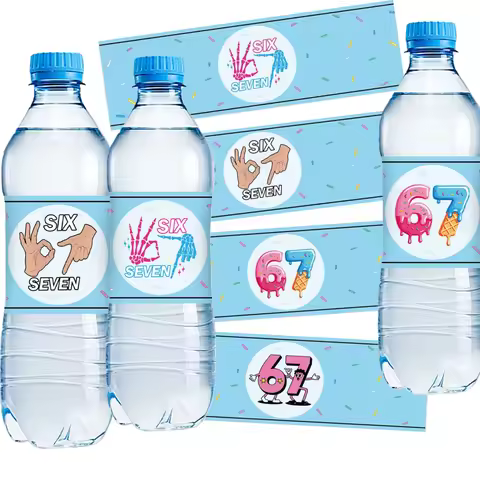 Fun Six Seven 67 Water Bottle Stickers Birthday Party Decor Funny 67 Six Seven Stickers Lable Sticke