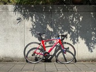 捷安特 Giant Tcr comp 碳纖維公路車 尺寸S 105