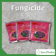 【Sean Planters’】Plant Fungicide (10g pack) Prevent Treat Fungal Fungus Disease Infection Garden Deco Tools 多菌灵 抑制预防白粉病褐斑病炭疽病黑霉病叶枯病 （10克）Ubat Kulat Pokok
