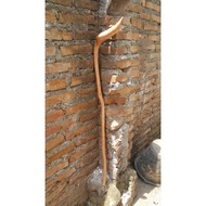 Setigi Wood Walking Stick / Wooden Foot Stick / Stick / Wood Stick / Walking Aid Stick
