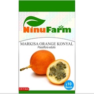 VIRALL Benih MARKISA ORANGE / Bibit BUAH MARKISA KONYAL SUPER QUALITY
