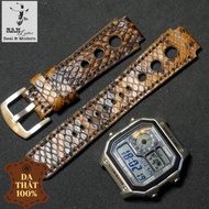 Casio Ae1200 Watch Strap 1995 Python Gold Watch Strap